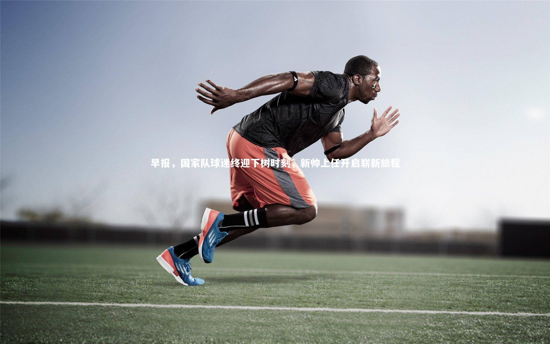 早报，国家队球迷终迎下树时刻，新帅上任开启崭新旅程